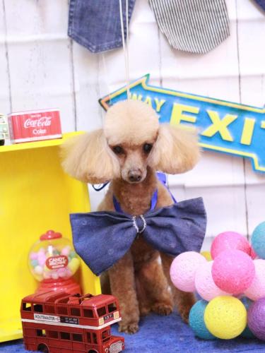 20230414リールちゃん